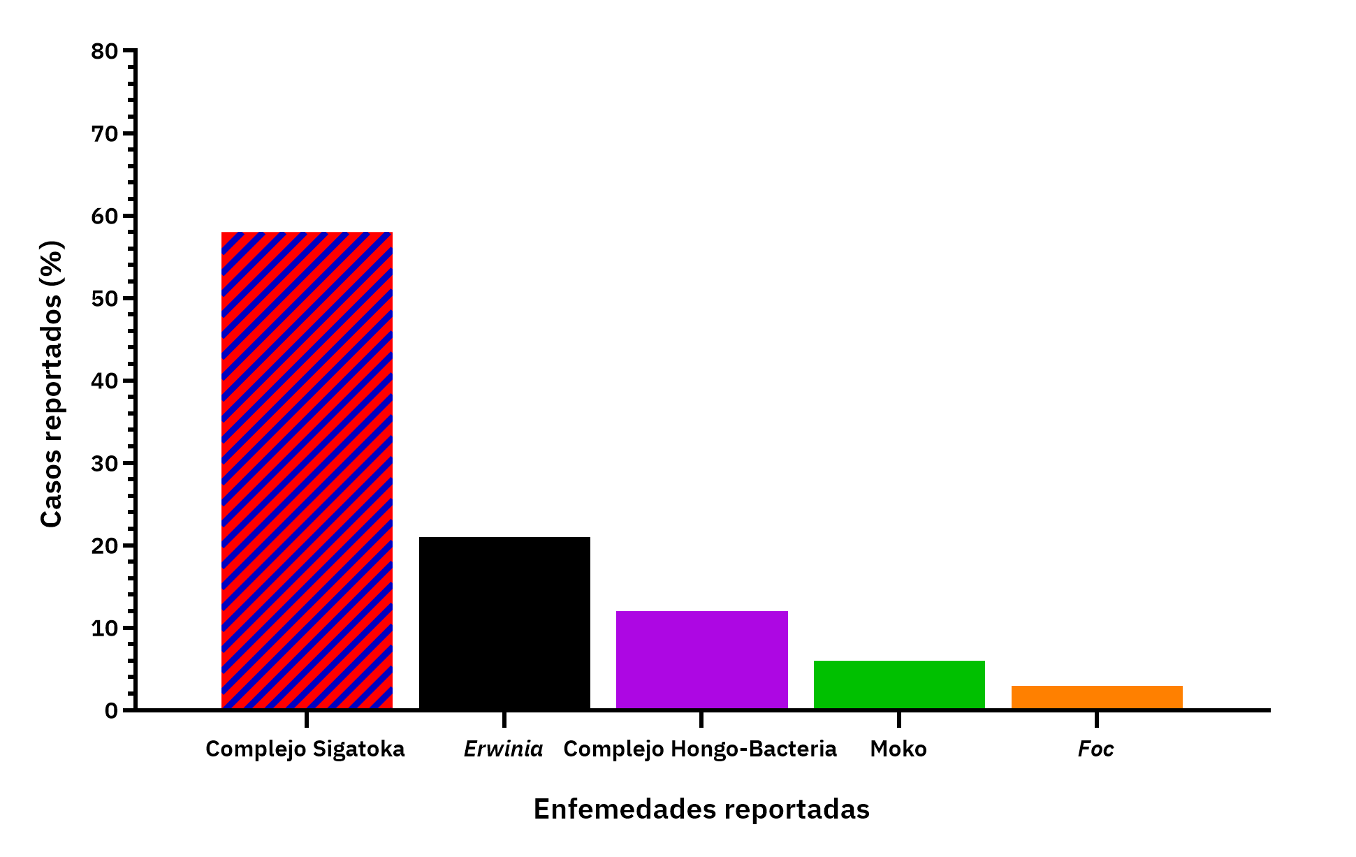 problemas fitosanitarios en zonas productoras en Venezuela